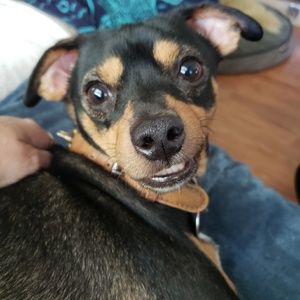 Meet your Posher, Mob